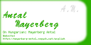 antal mayerberg business card